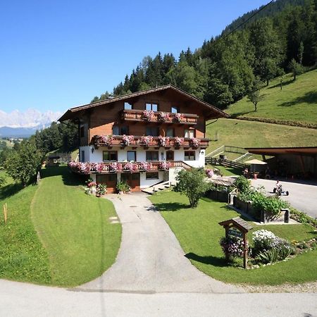 Ahlhof Villa Schladming Kültér fotó