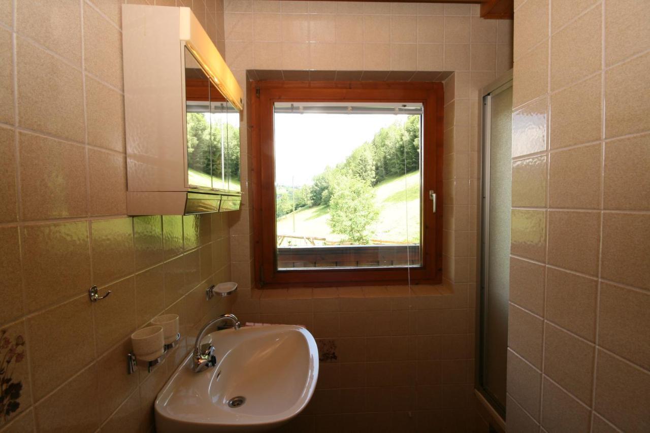 Ahlhof Villa Schladming Kültér fotó
