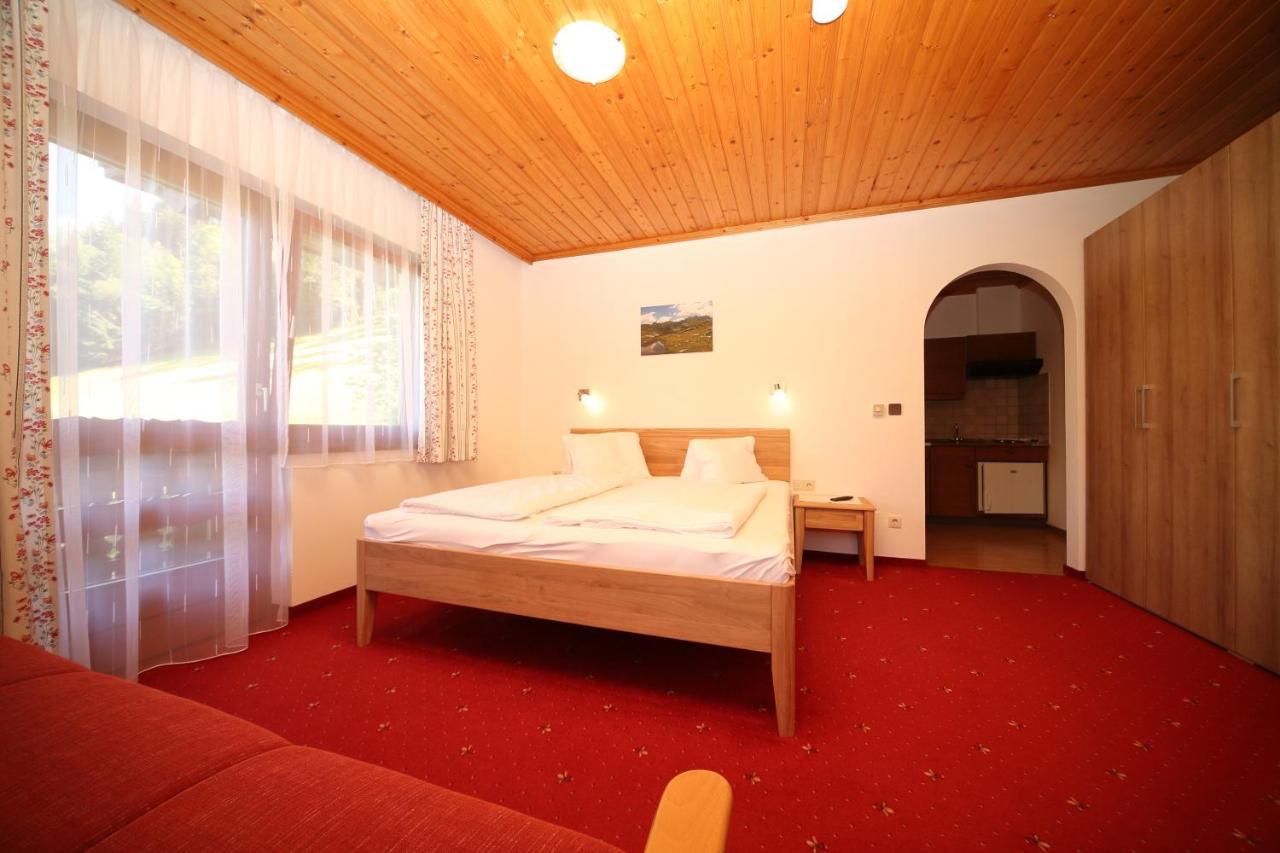 Ahlhof Villa Schladming Kültér fotó