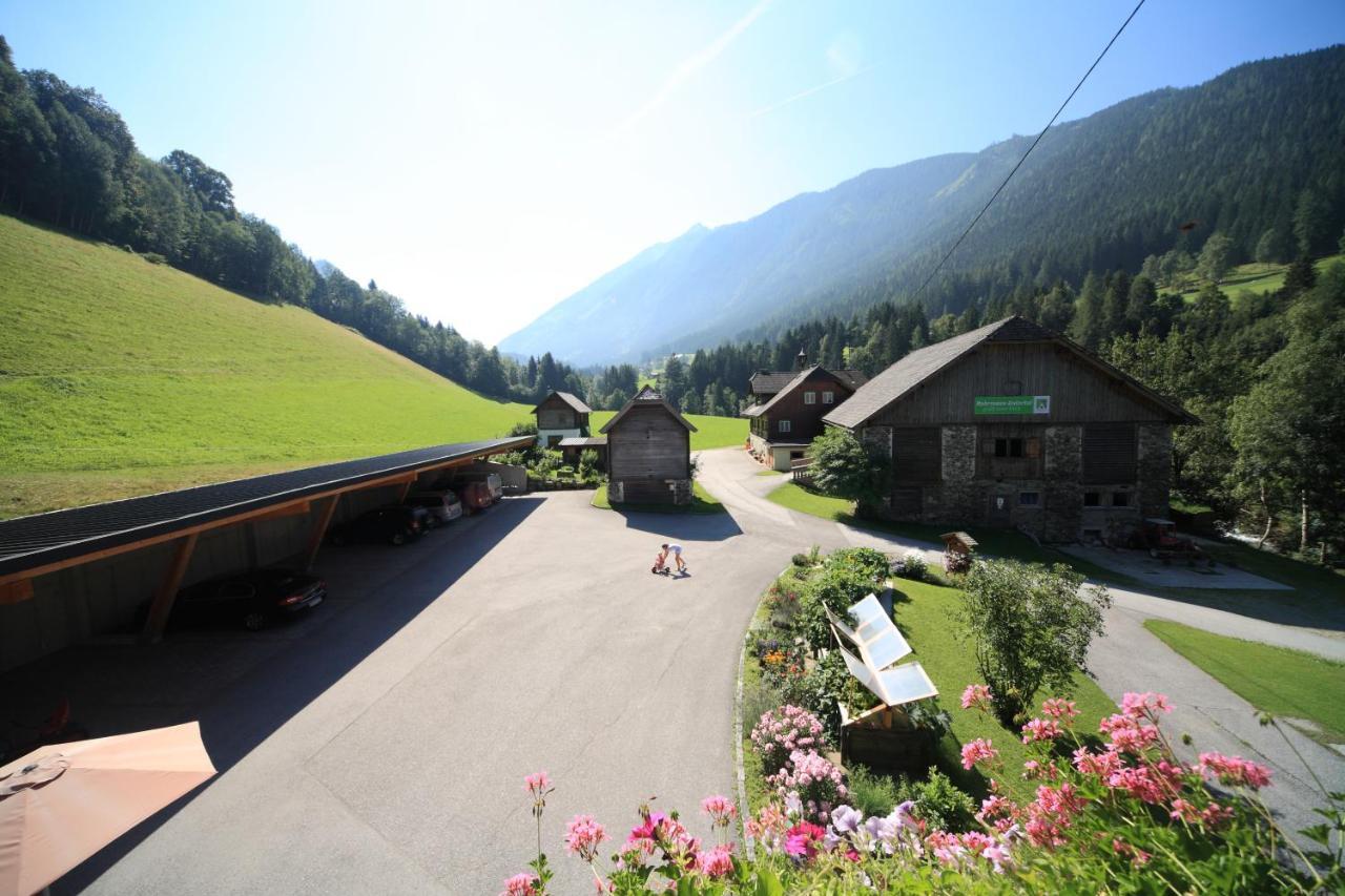 Ahlhof Villa Schladming Kültér fotó