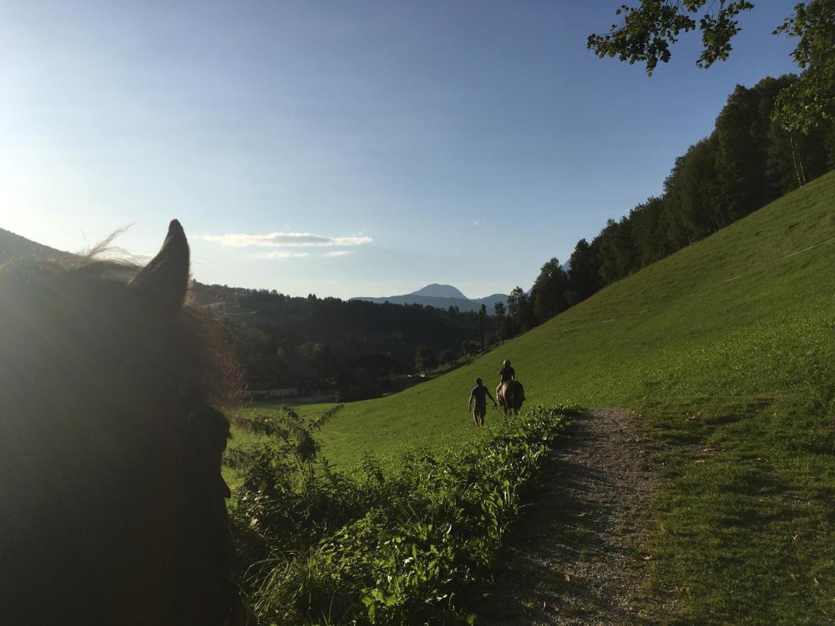 Ahlhof Villa Schladming Kültér fotó