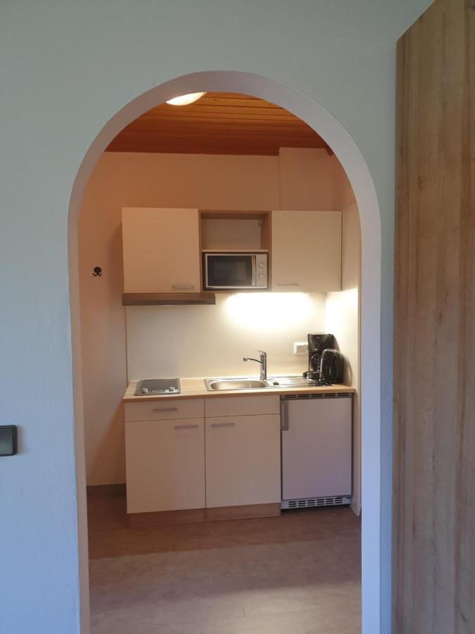Ahlhof Villa Schladming Kültér fotó